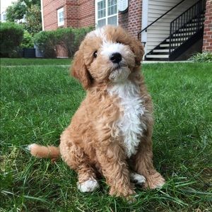 Meet your Posher, Kathryn